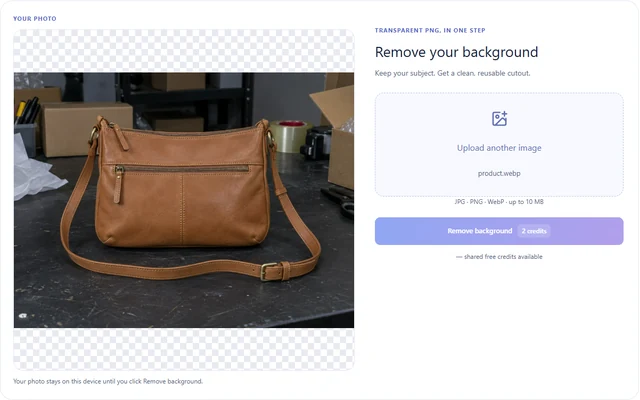 Background Remover interface: Start background removal